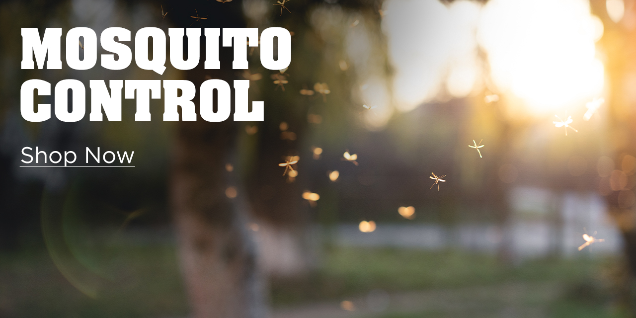 Mosquito control